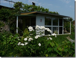 P12509501