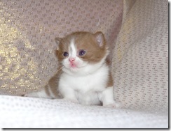 P1320469