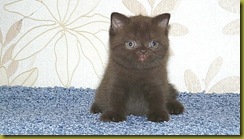 Image00050