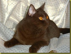 photo0212